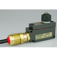 **see Steute EX12W-S for possible alt**