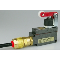 **see Steute EX12WHL-S**